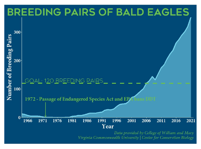 A image to apply the ImageZoom plugin