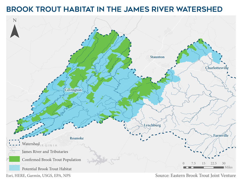 A image to apply the ImageZoom plugin