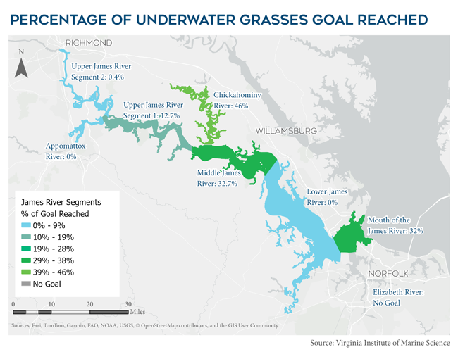 A image to apply the ImageZoom plugin