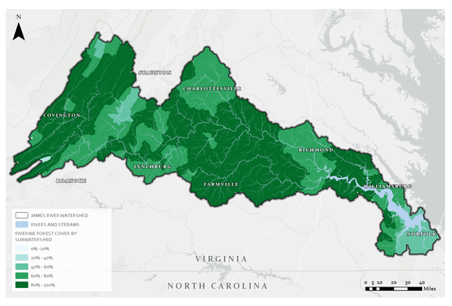 A image to apply the ImageZoom plugin