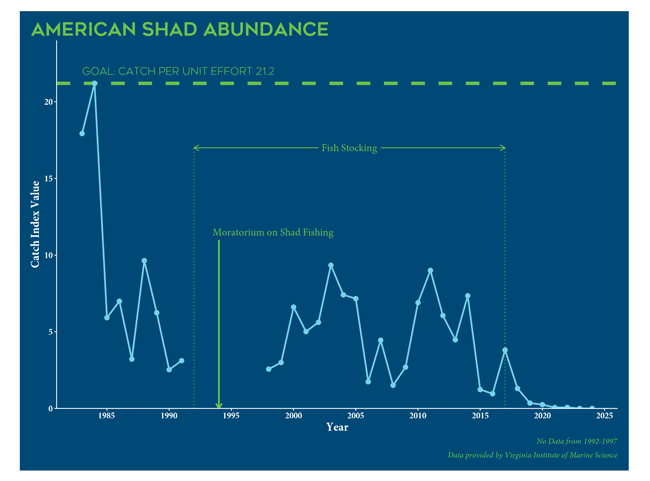 A image to apply the ImageZoom plugin