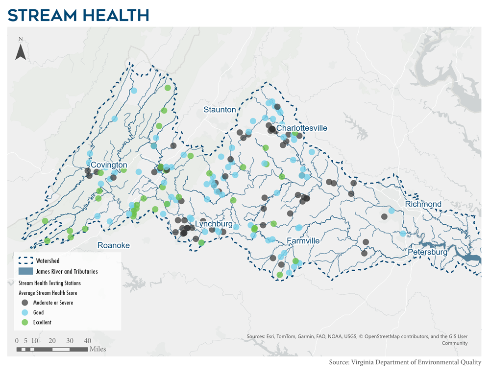 A image to apply the ImageZoom plugin