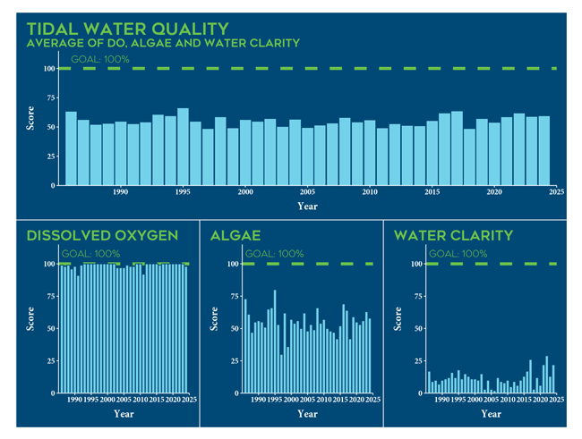 A image to apply the ImageZoom plugin