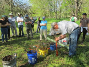 Planting riparian buffer