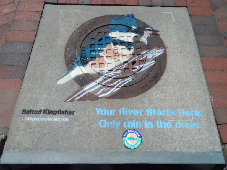 River Health Deep Dive - Understanding Conductivity - James River ...