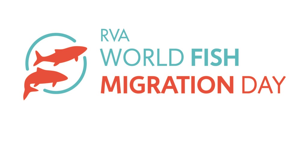 RVA World Fish Migration Day