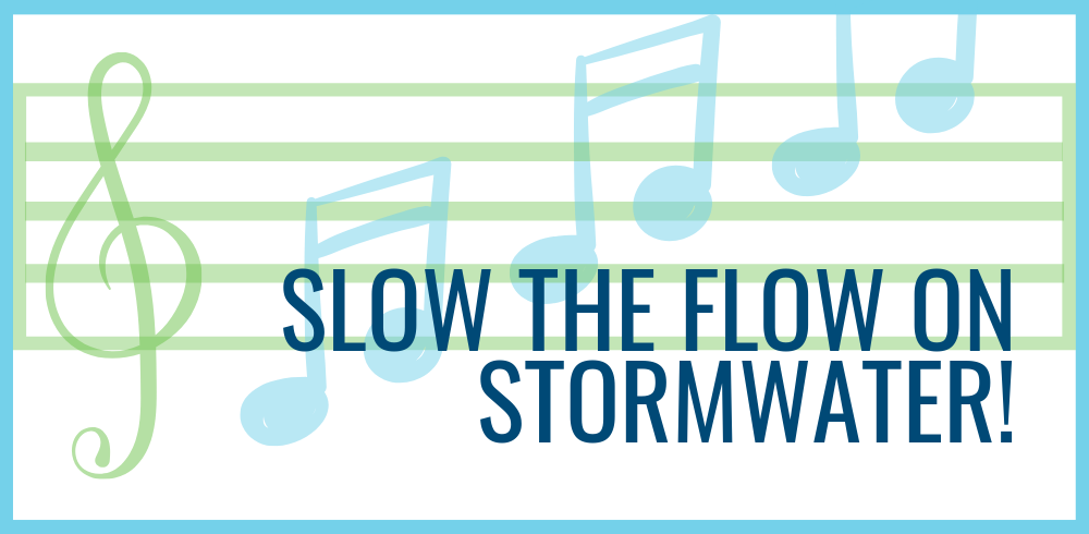 WIP 104: Only Rain in the Drain — Virginia’s Plan to Slow the Flow on Stormwater