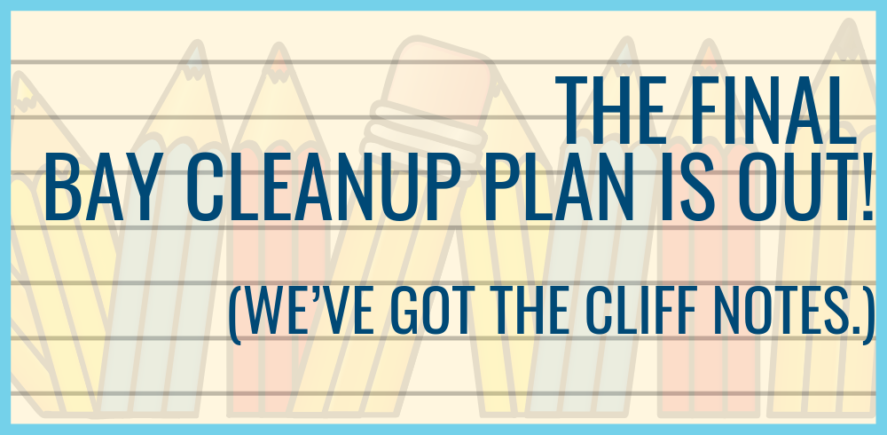 WIP 105: The Final Bay Cleanup Plan is Out!