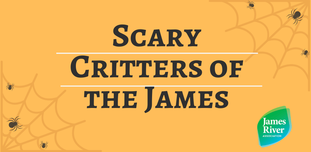 Scary Critters of the James