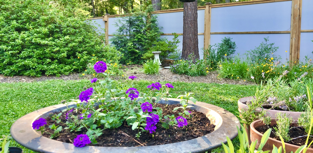Conservation Tips to Improve the Health of Your Yard