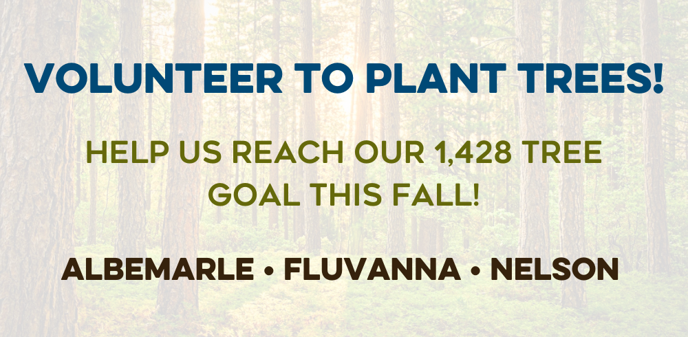 Help plant trees this fall!