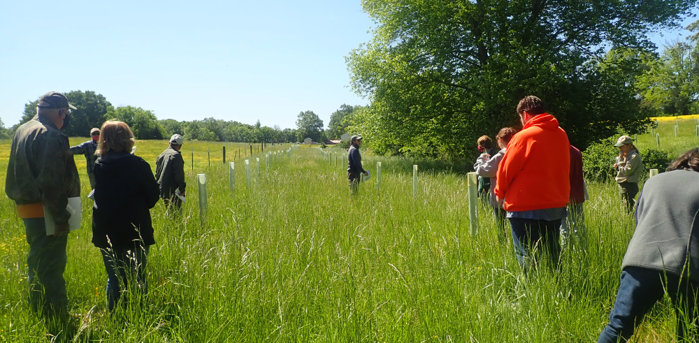 Conservation Partners Team up for Farm Field Day