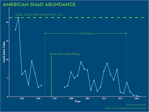 State of the James American Shad Population Graph