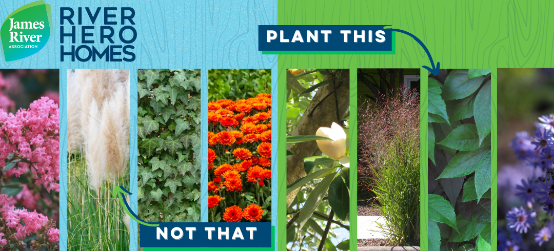 Plant This, Not That, This Spring