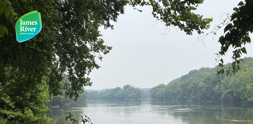 Explore Nature and History along the Willis and James Rivers