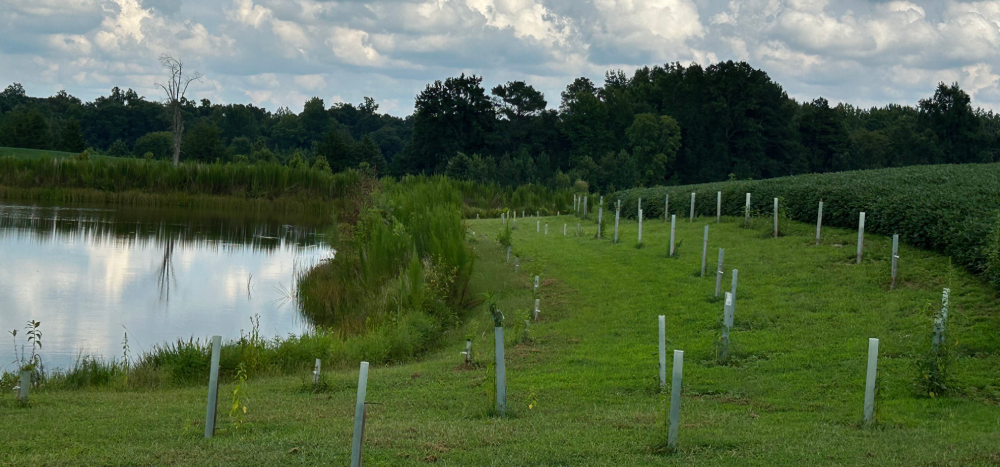 Farm Tour for Local Landowners and Conservation Practitioners