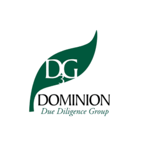 D3G logo