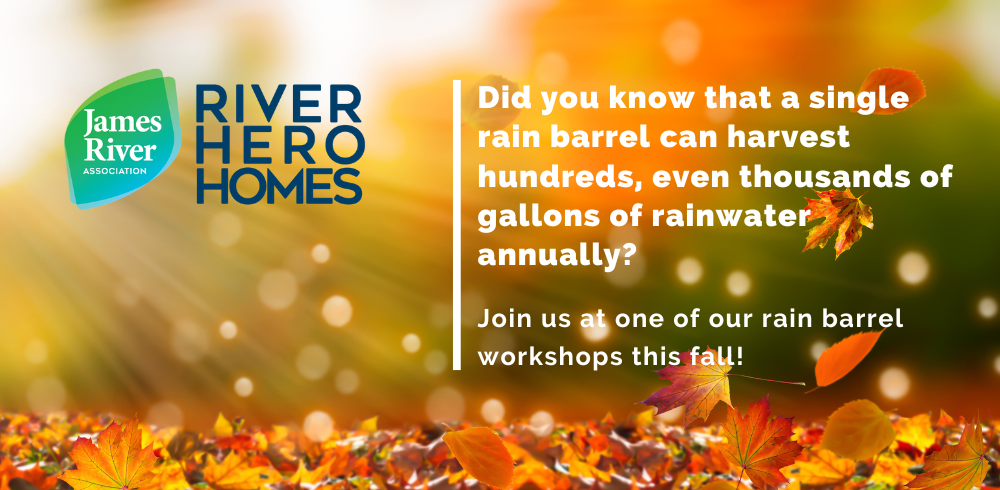 Conserve Water at Home Using a Rain Barrel this Fall