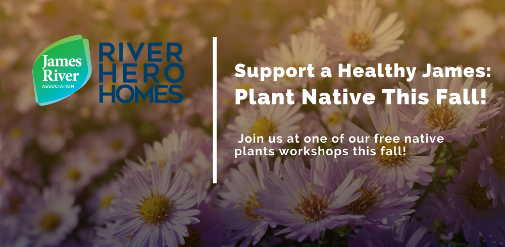 Support a Healthy James: Plant Native This Fall!