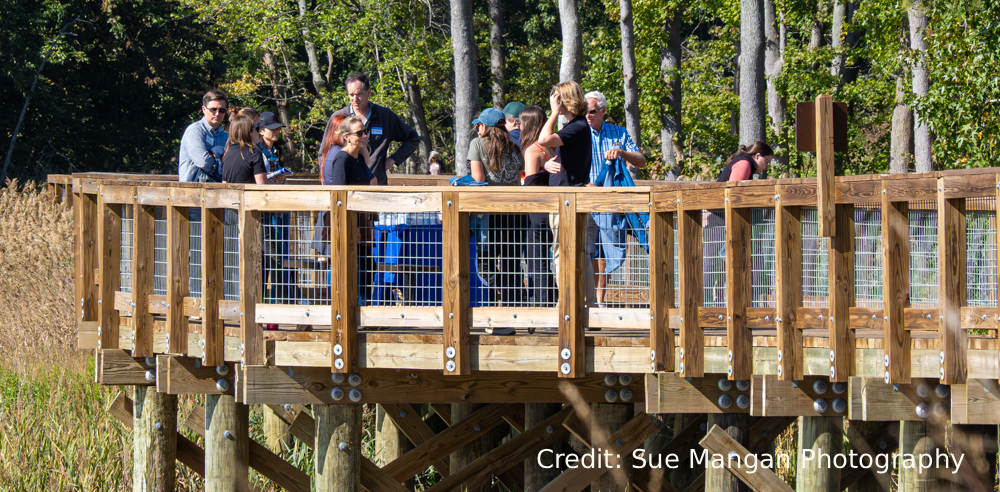 Together for Tomorrow: 2025 Living Shoreline Summit Recap