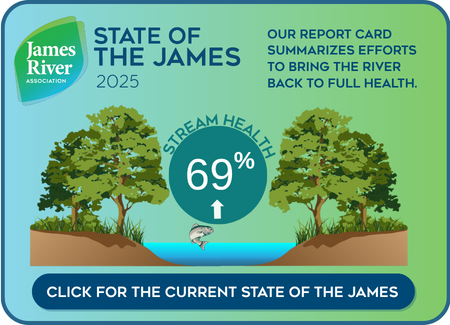 State of the James Stream Health2