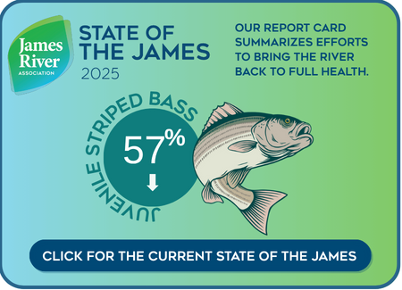 State of the James Striped Bass Community Conservation