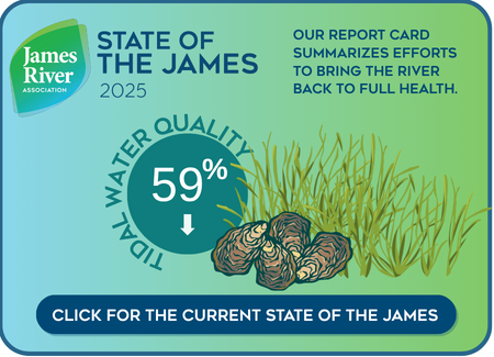 State of the James Tidal Water Quality