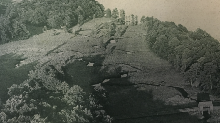 Governor Wilder Presents LJRA an award