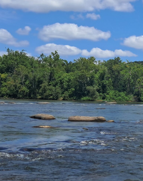 scenic pony pasture james river