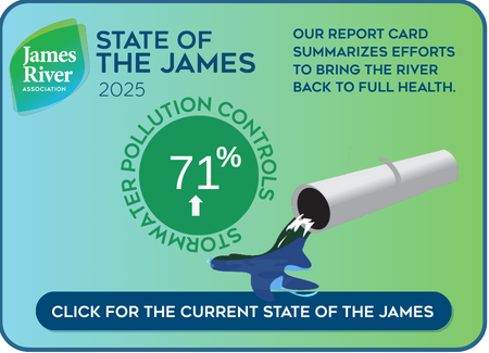 State of the James Stormwater Pollution Controls Understand the big picture of our watershed’s health through our biennial report card, which grades the river on fish and wildlife, habitat health, and pollution reduction.