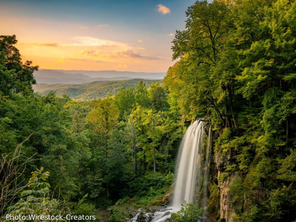 falling-springs-falls-photo-credit-Wirestock-Creators Eastern Painted Turtle